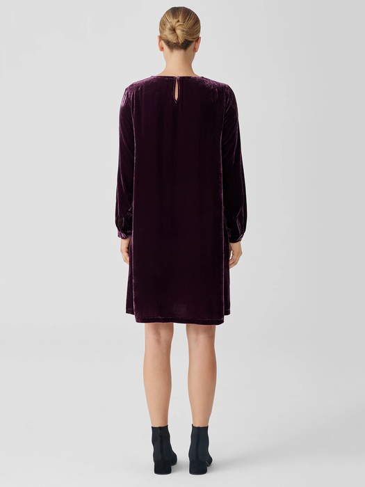 Velvet Crew Neck Dress