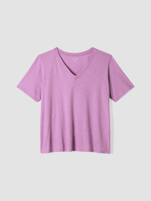 Organic Cotton Slubby Jersey V-Neck Tee