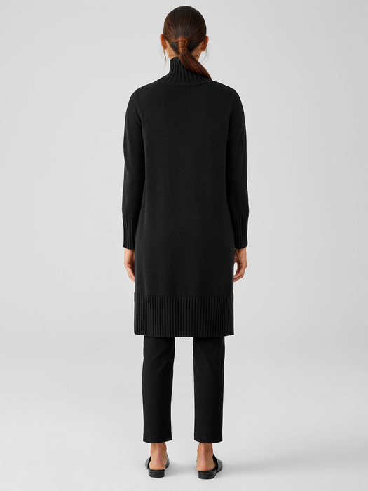 Merino Jersey Turtleneck Dress in Regenerative Wool