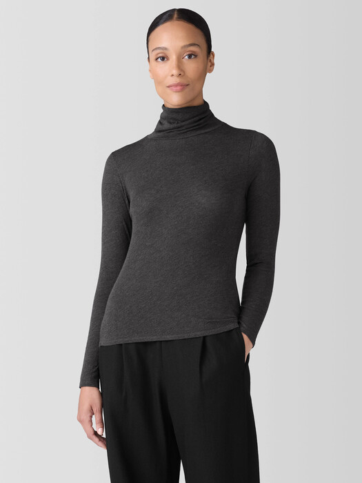 Sheer Knit Turtleneck Top