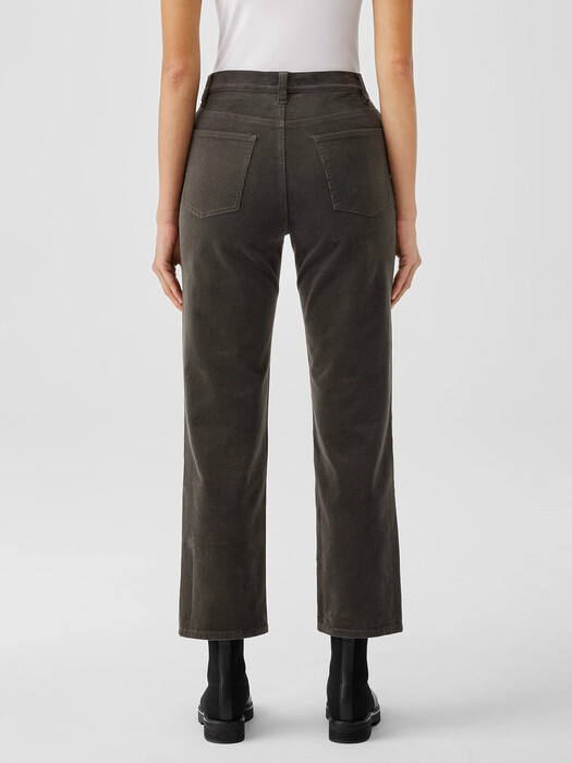 Organic Cotton Stretch Corduroy Straight Pant