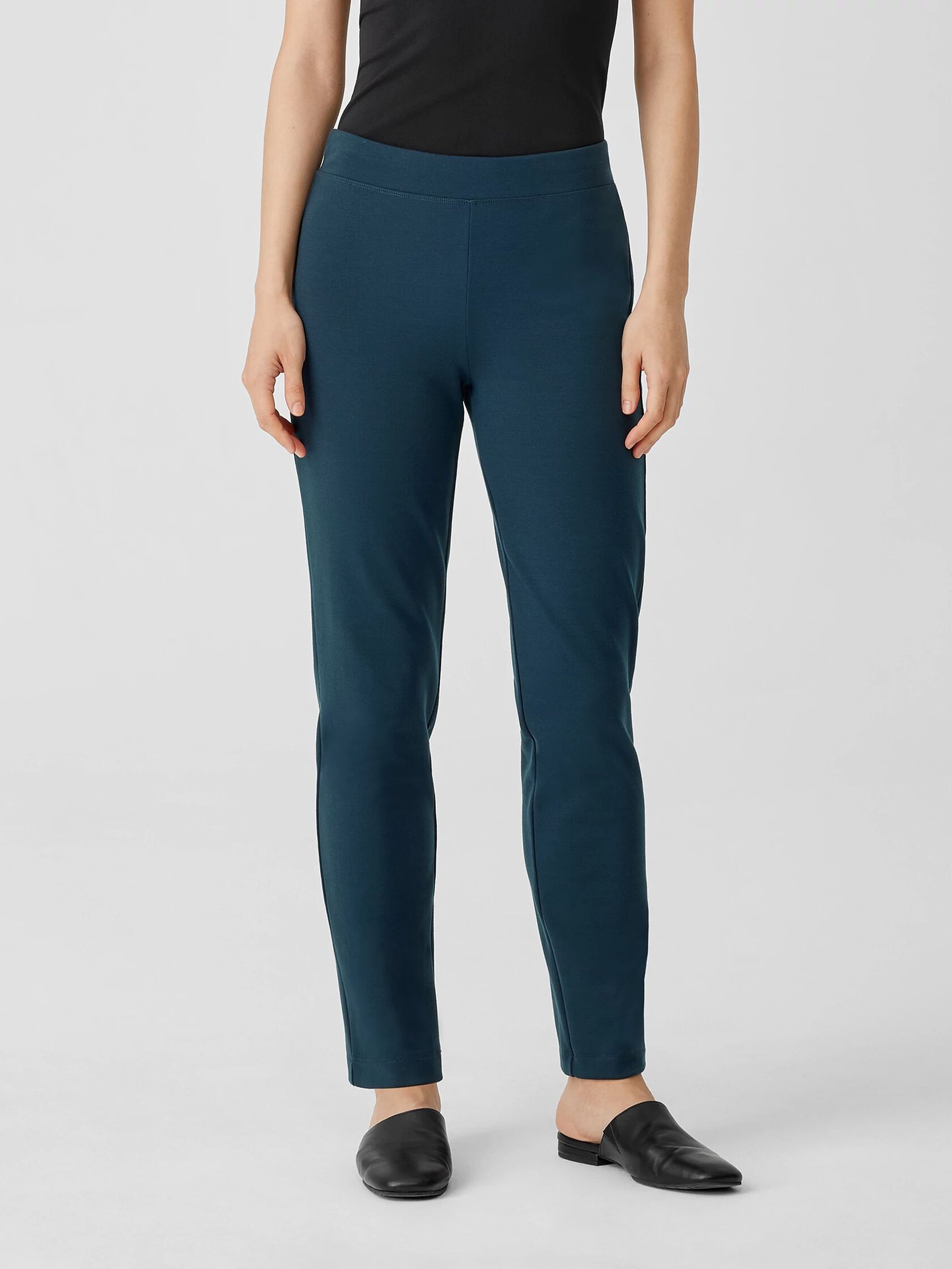 Washable Flex Ponte Pant