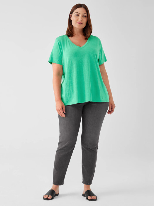 Organic Cotton Slub V-Neck Tee