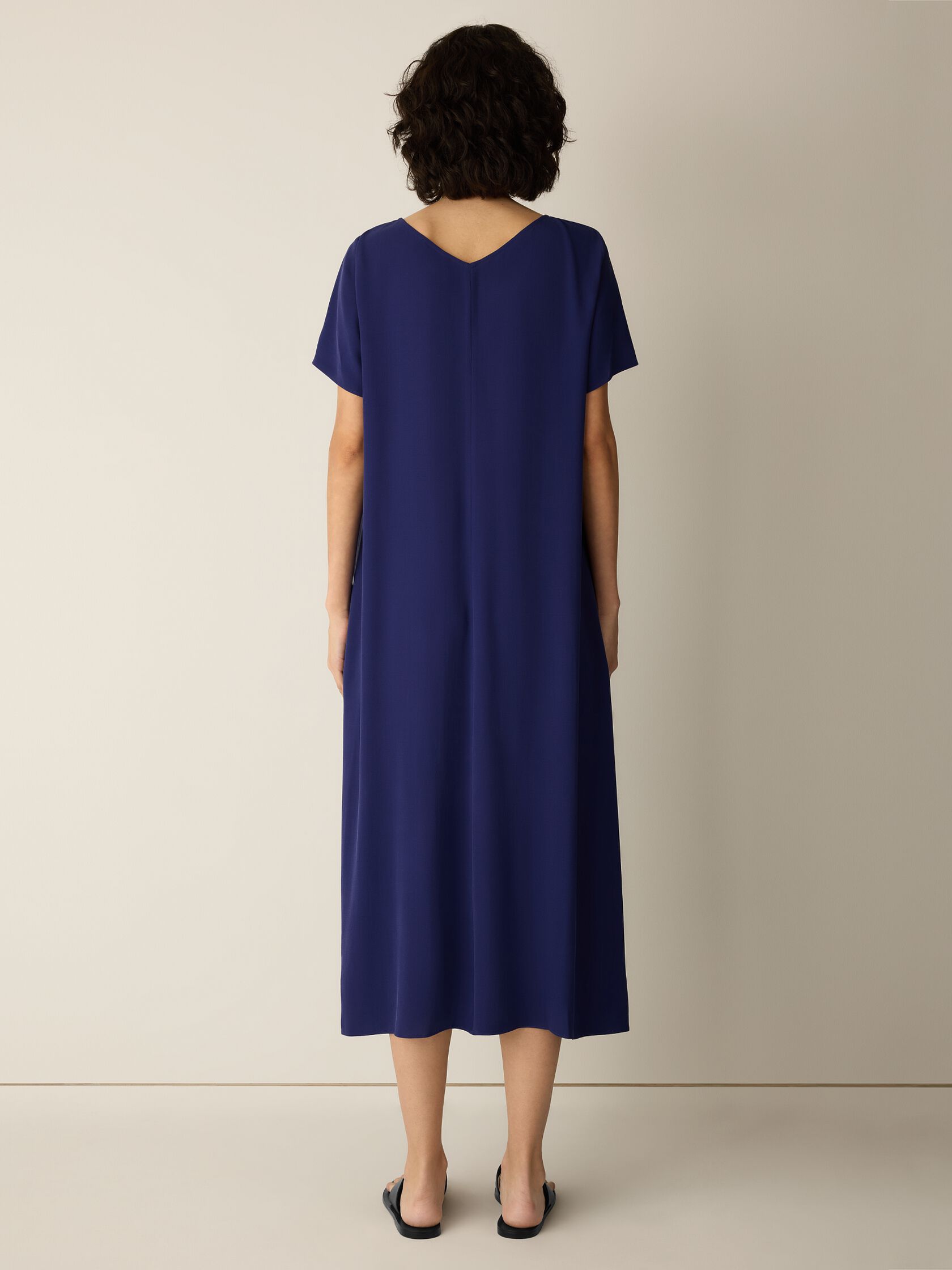 Silk Georgette Crepe V-Neck Dress