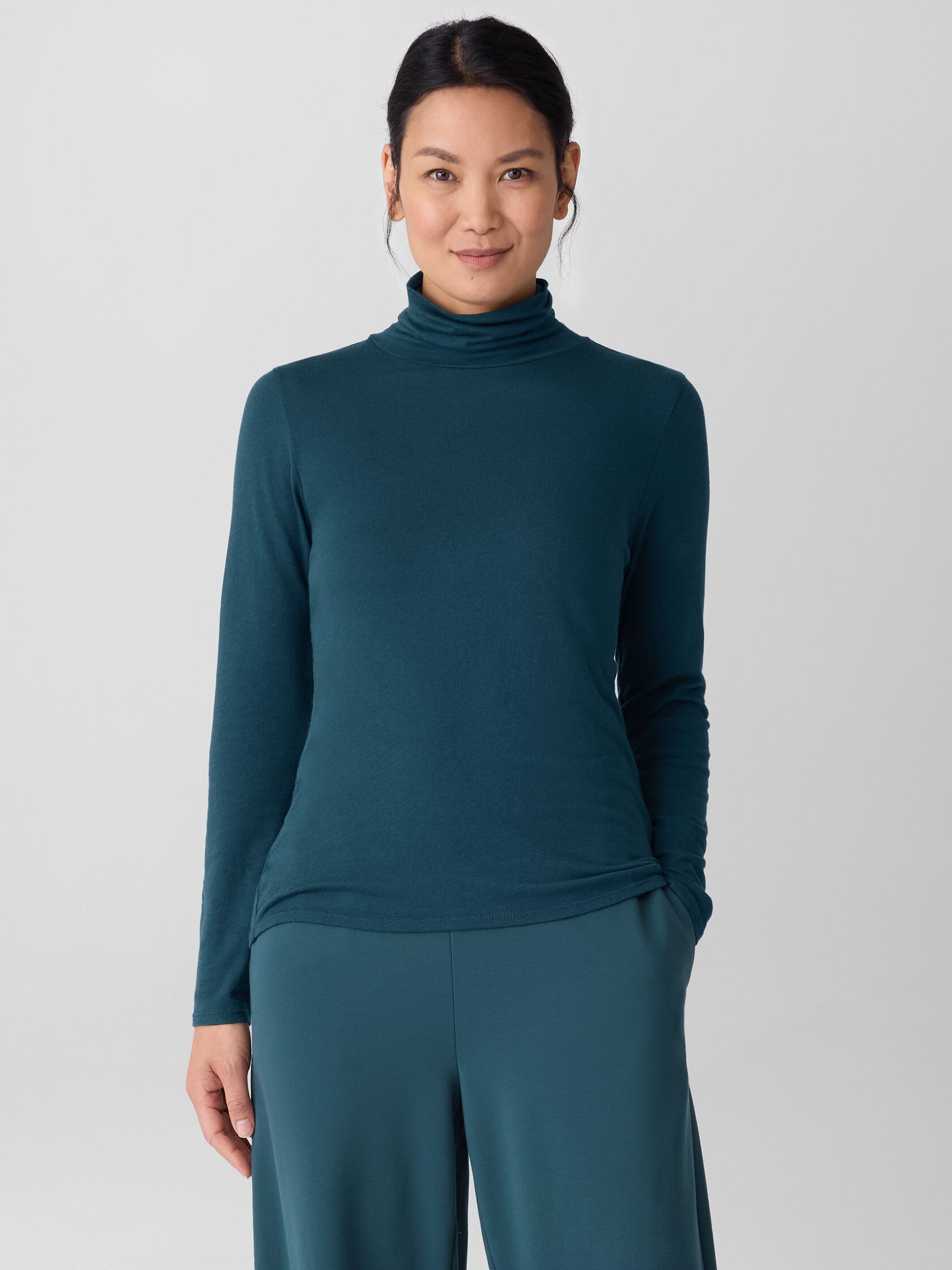 Sheer Cotton Blend Knit Turtleneck Top