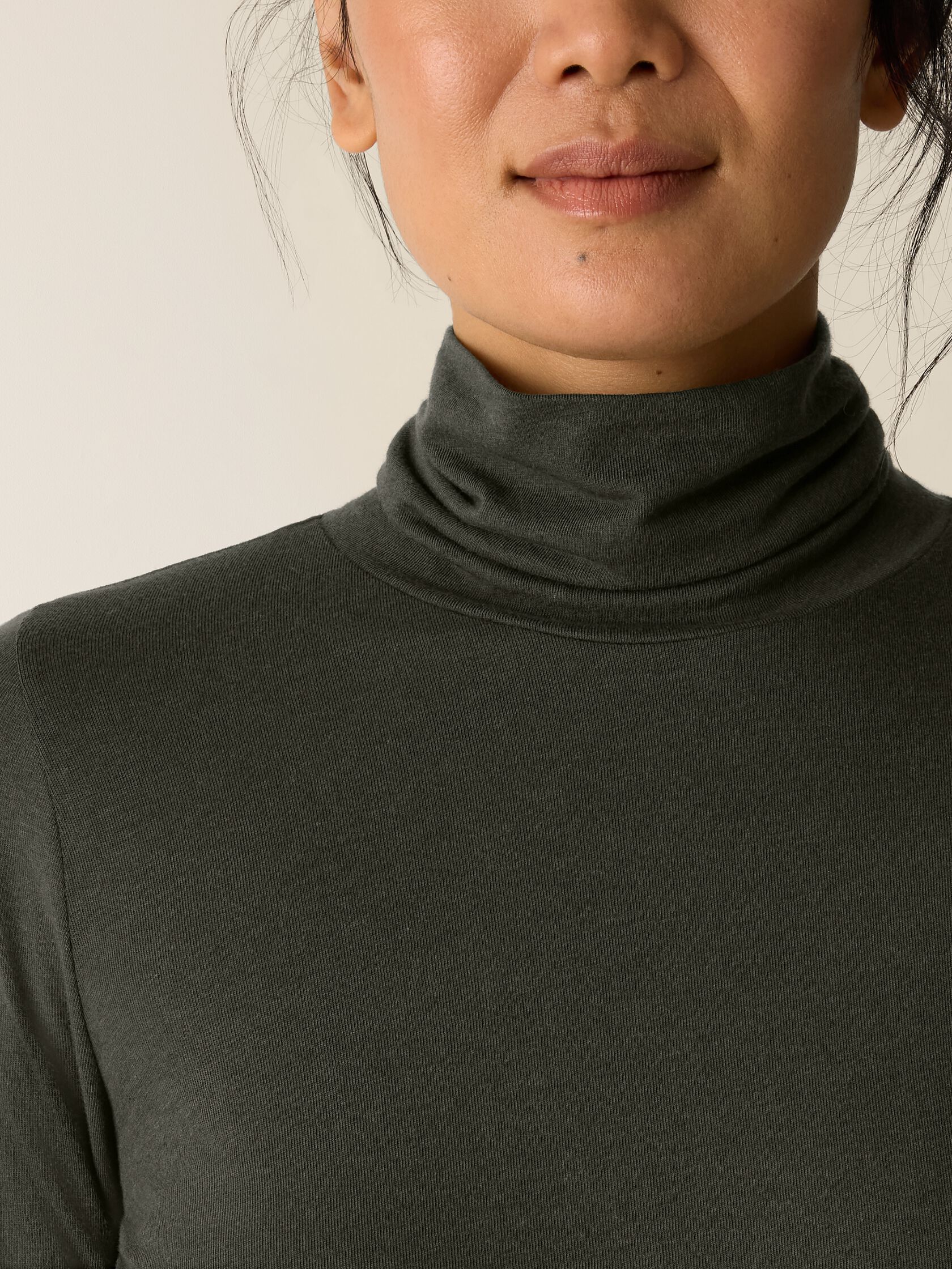 Sheer Cotton Blend Knit Turtleneck Top
