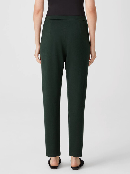 Cozy Brushed Terry Slouchy Pant