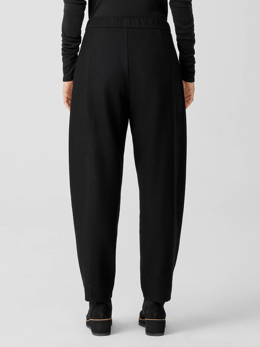 Boiled Wool Jersey Pleated Lantern Pant | EILEEN FISHER