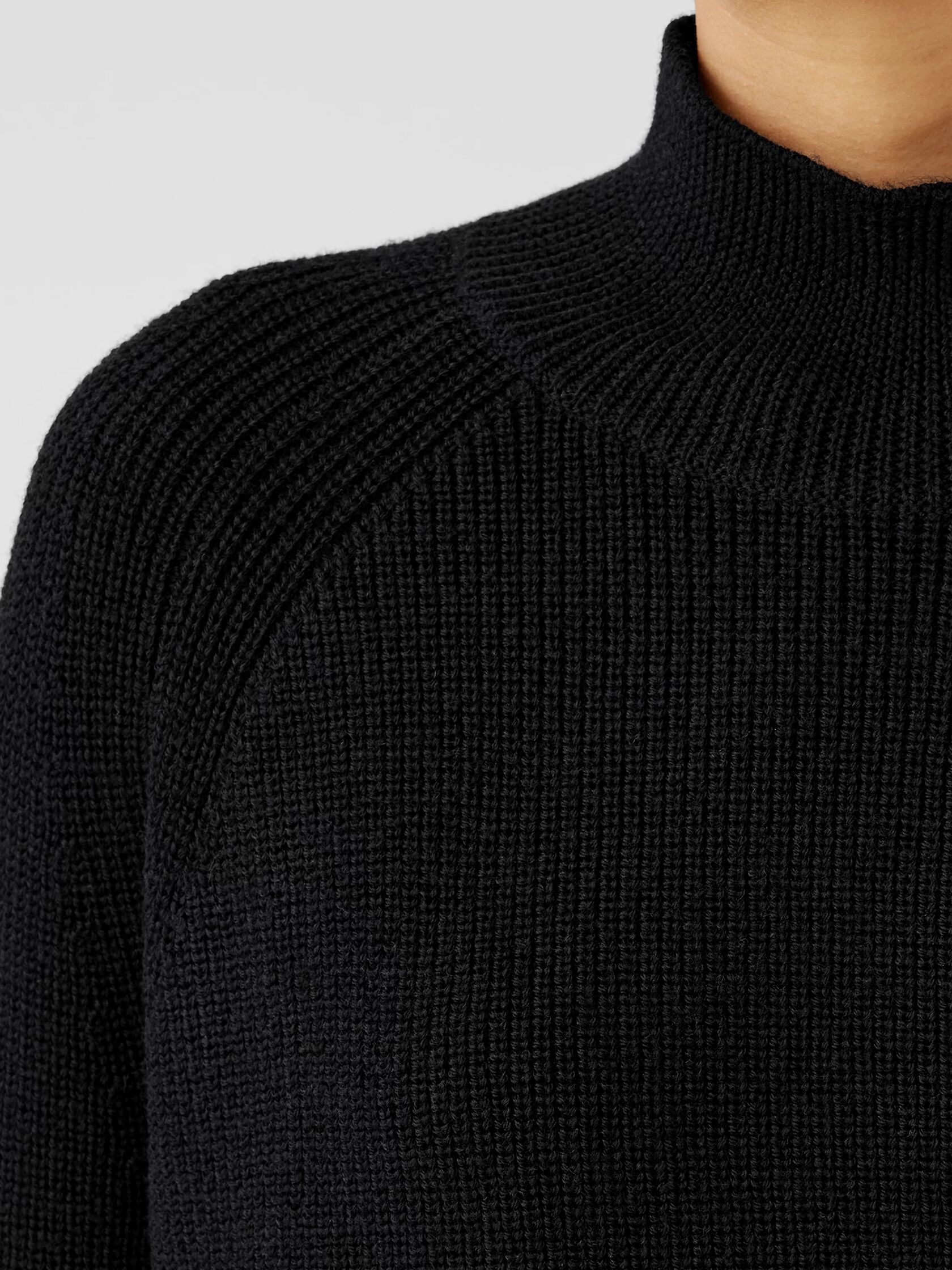 Merino Cropped Turtleneck Top in Regenerative Wool | EILEEN FISHER