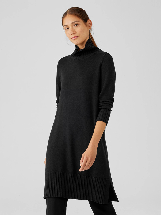 Merino Jersey Turtleneck Dress in Regenerative Wool