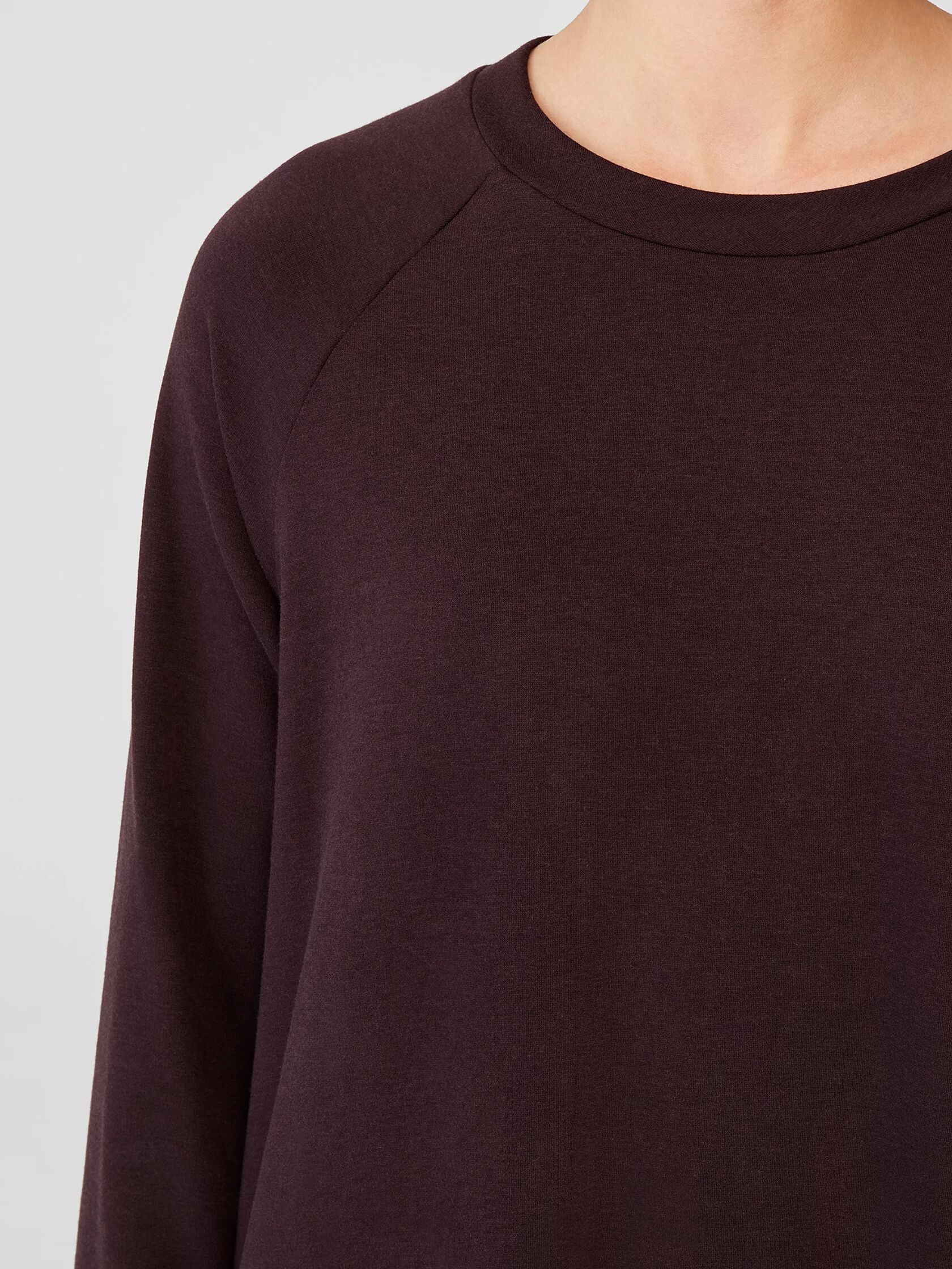 Cozy Brushed Terry Raglan-Sleeve Top