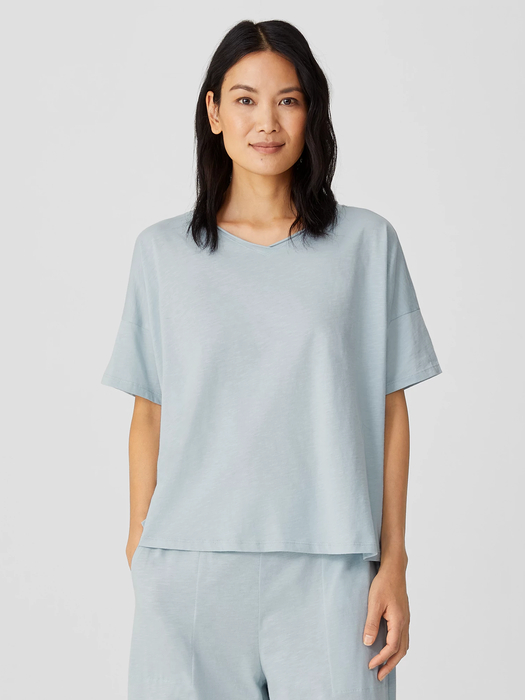 Slubby Organic Cotton V-Neck Sleep Tee