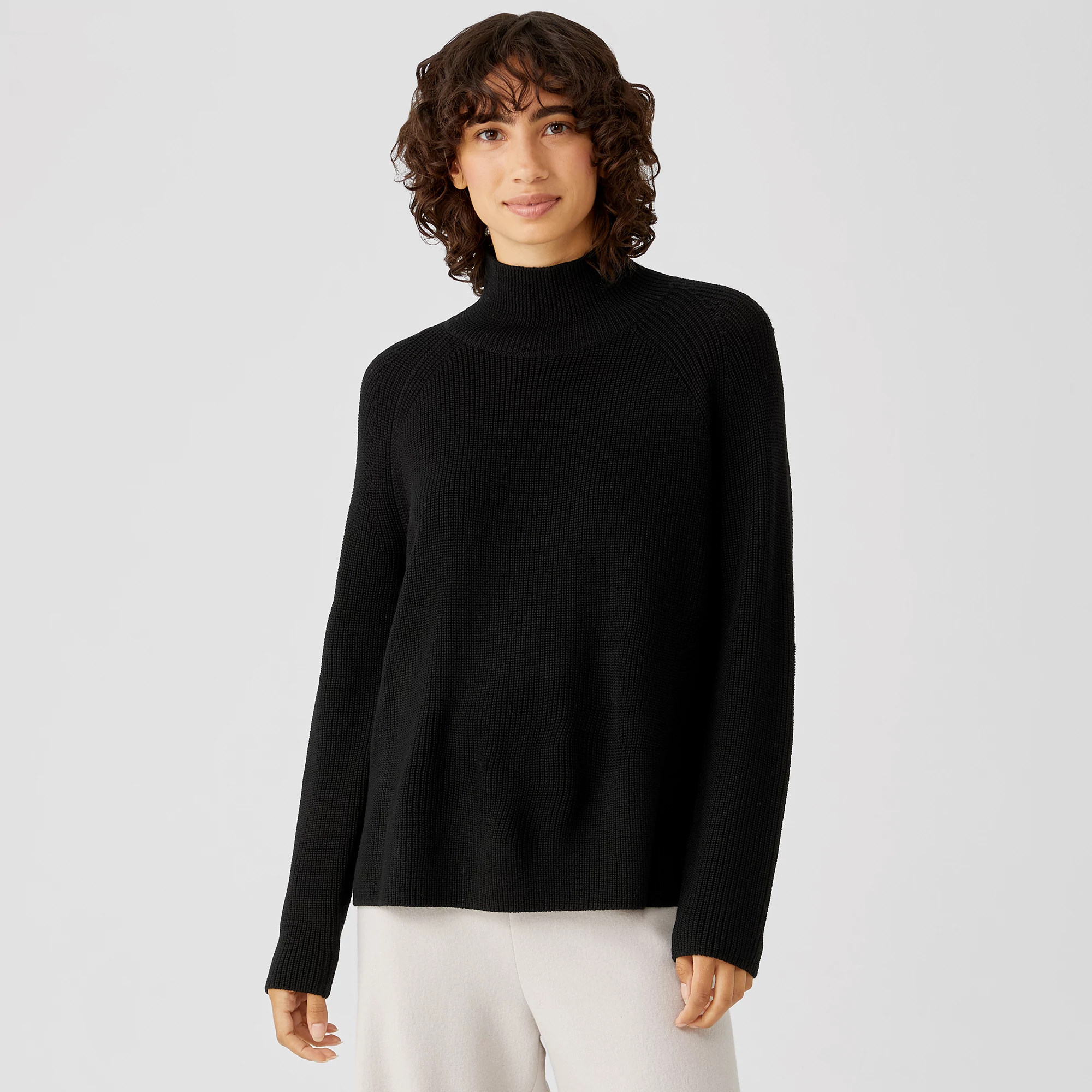 Eileen Fisher  Turtleneck Raglan Top レディース Sweaters Sea Salt NWT Eileen Fisher Sea Salt Extra Fine Merino Wool Turtle
